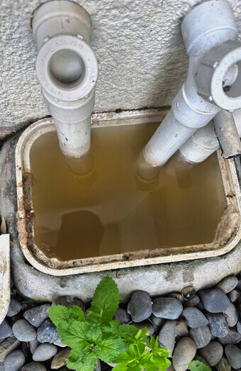 https://plumberkarrinyup.com.au/uploads/2025/06/blocked-drains-912576.jpg